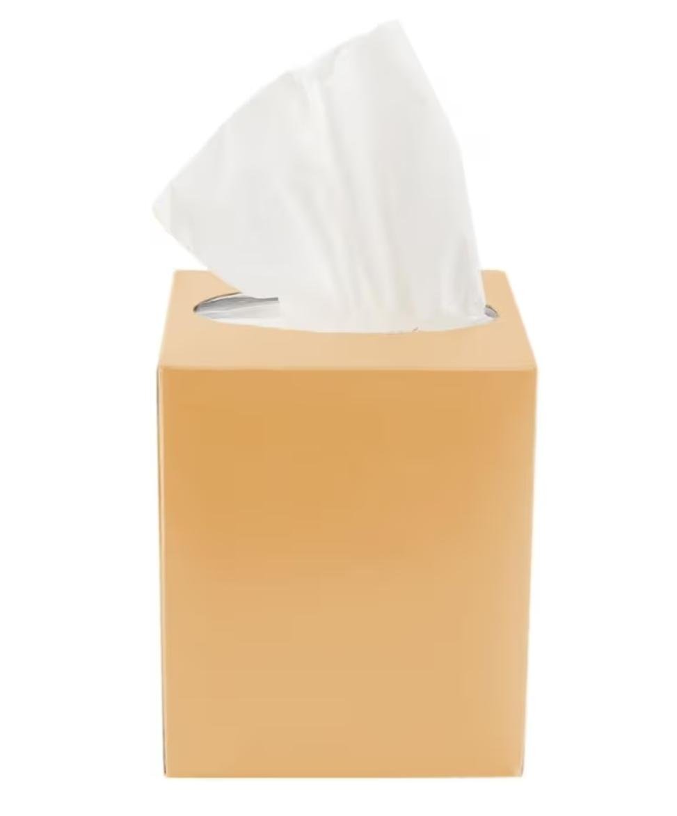 Boutique Facial Tissues - Premium Soft & Elegant, 48 Packs Of 120 sheets * 2 ply